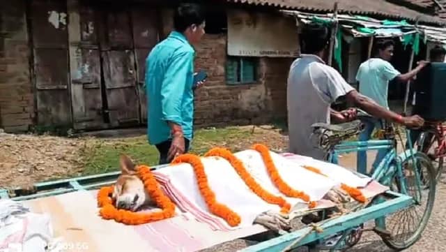 Odisha Ki ‘Kali’ Bana Hero: 30 Bachchon Ko Bachaya, Zehreele Saap Se Ladte Hue De Di Jaan