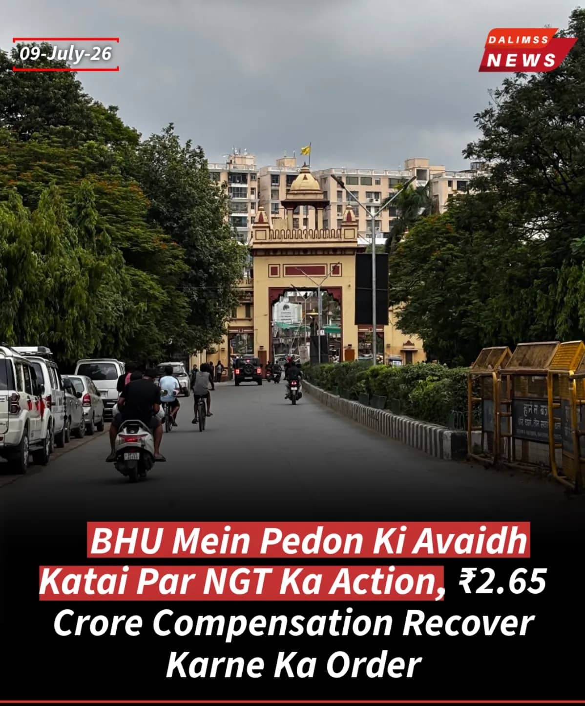 NGT Orders Recovery of ₹2.65 Crore from BHU in Illegal Tree Felling Case