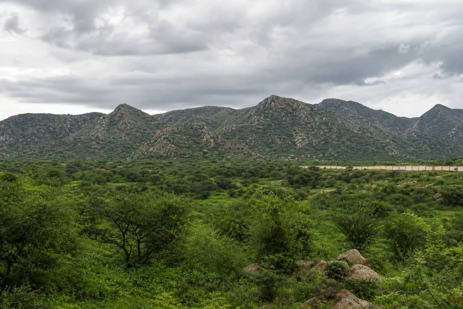 Protected Aravali hills near Raisina in Gurugram district during monsoon