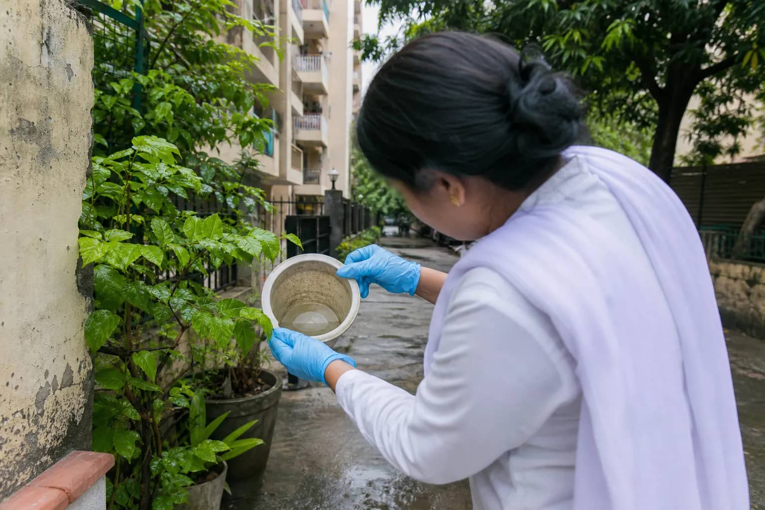 Health worker checking standing water for mosquito larvae in Gurugram