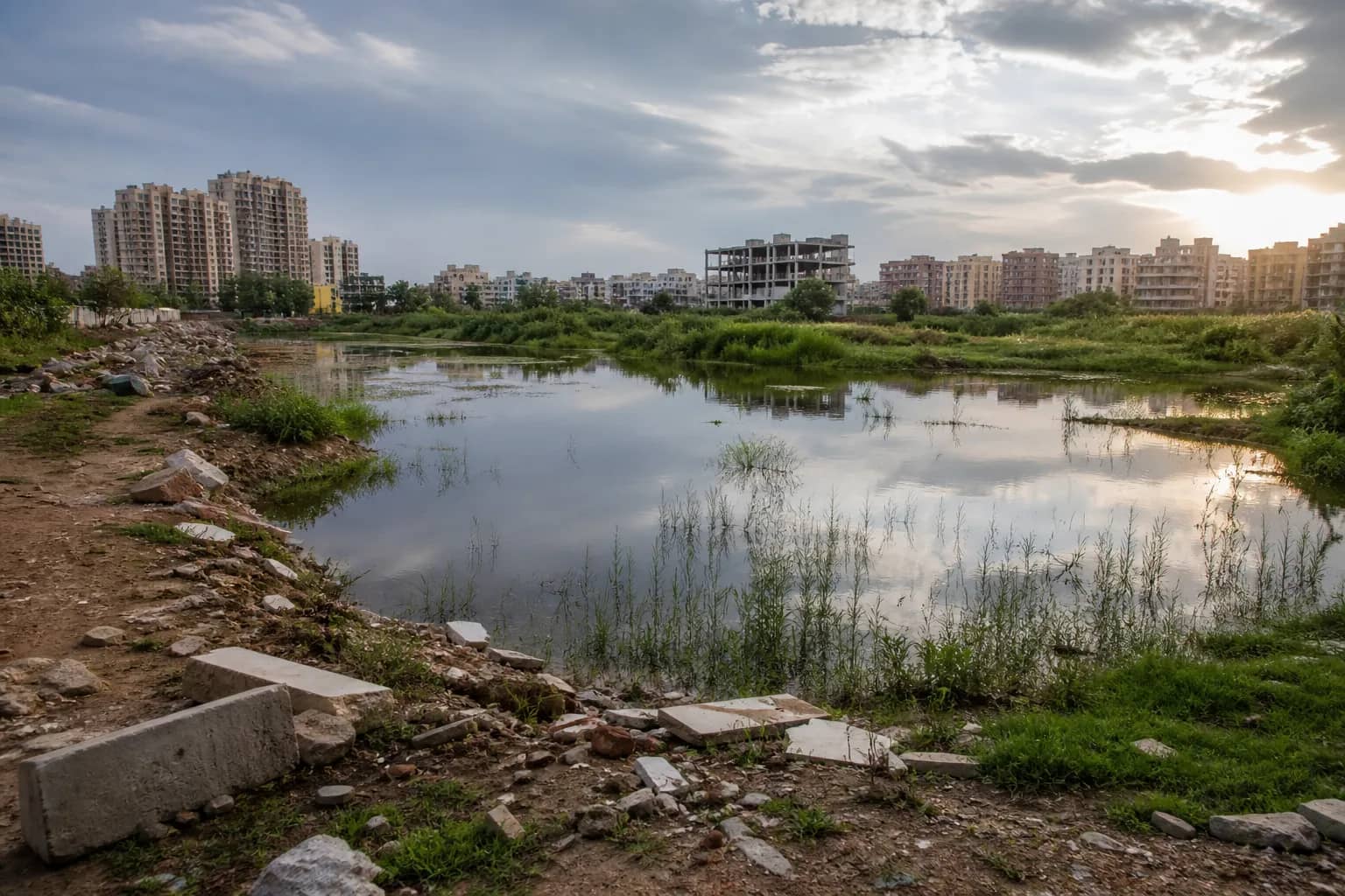 Urban pond in Gurugram bordered by debris and dense residential development
