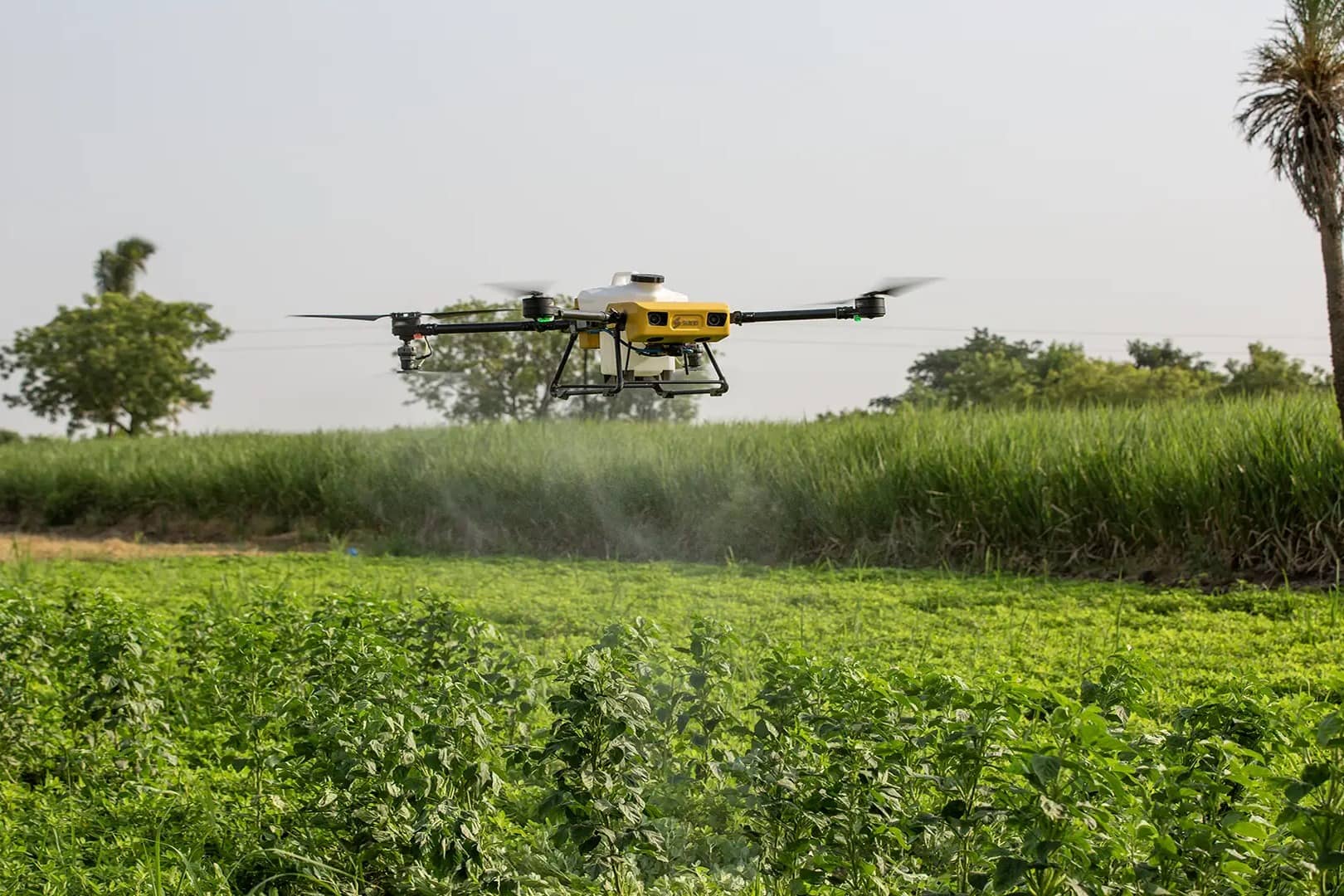 SUIND's Bumblebee drone sprays tall crops by sight: what the Bengaluru startup builds
