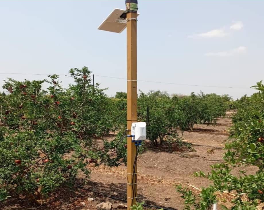 Fasal puts sensors in fruit orchards to time watering and sprays: how it works
