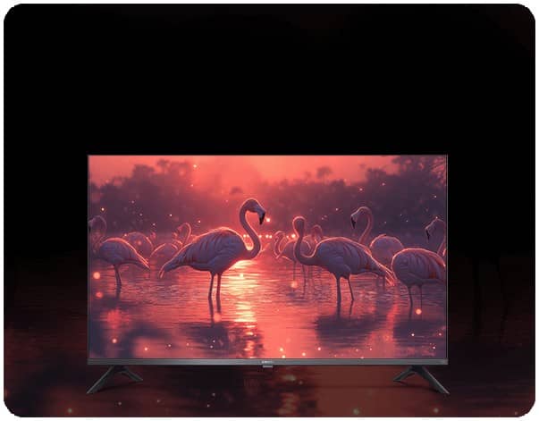 A slim flat-screen TV on a stand showing flamingos wading in pink water at sunset