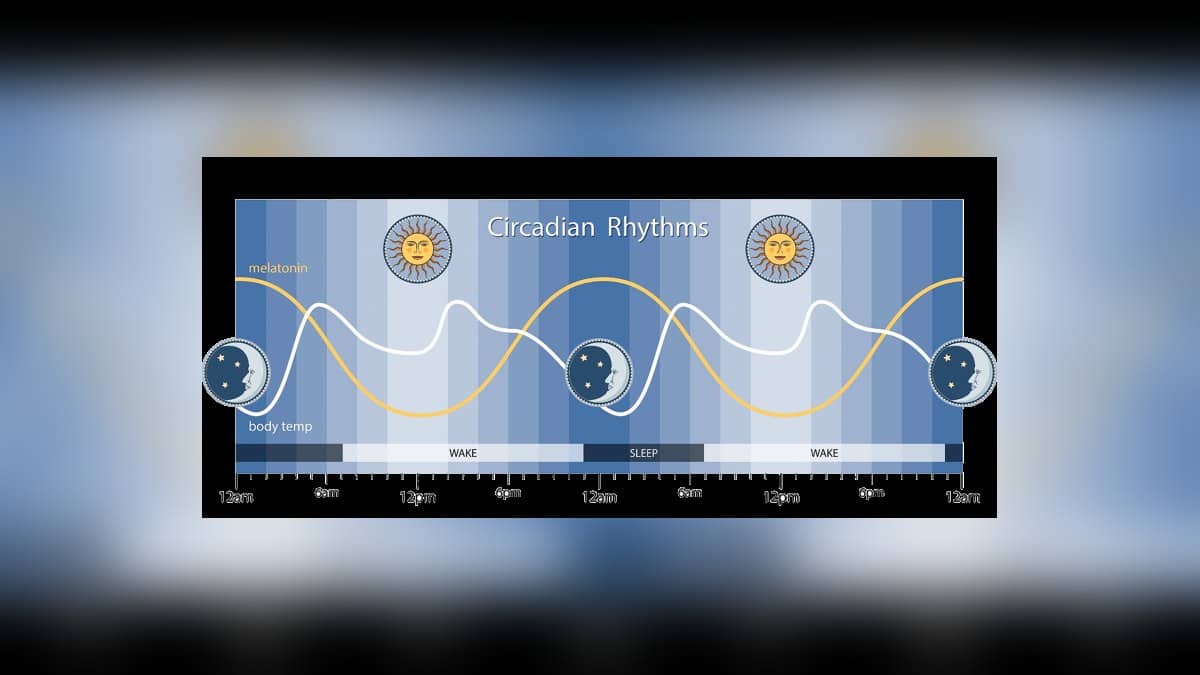 How much sleep do adults need? Age-wise hours and sleep quality